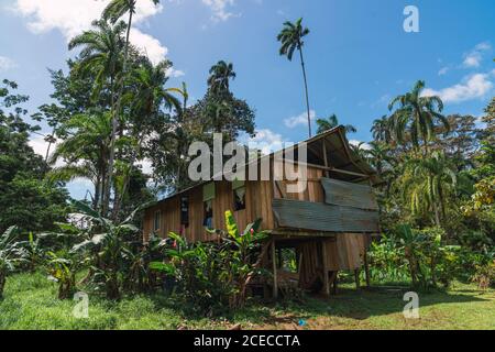 Esterno di casa povera di legno in remoto paesaggio tropicale con palme, Panama Foto Stock