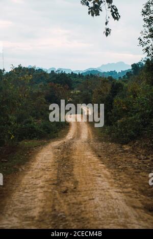 Strada rurale in autunno foresta Foto Stock