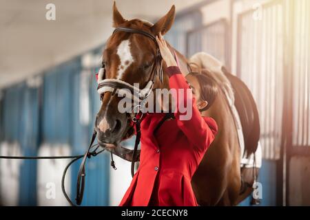Rider giovane donna mette in sella e briglia a cavallo Foto Stock