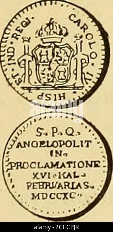 . Monastero americano (ilustrado) classificado. 790 . En el campo: Escudo surmontado de corona real, de cuatro - 19 - cuarteles, teniendo el primero cinco estrellas, el segundo unárbol, el tercero un león á la izquierda y el cuarto un navigavegando. En el centro de este escudo hay otro oval pe-queño con los armas de España. Detrás un águila que sostieneen el pico una cinta que lleva la inscripción: Benigno elclima • Fértil • el • suelo • Cómodo • el • sitio • y • Leal •el • pueblo • Dorada á fuego: Peso 23 grammi. 3 decíg. €^ «f S li* . S.PX . „ &gt;. ÍN. ^? .|PItOCíAMATrONE| :?-; XVI. KAL. ¿ ? Foto Stock