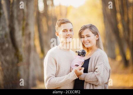 Coccole di coppia amorevoli in pullover caldi e luminosi che tengono il cane nani nelle loro mani. Concetto di Childfree Foto Stock