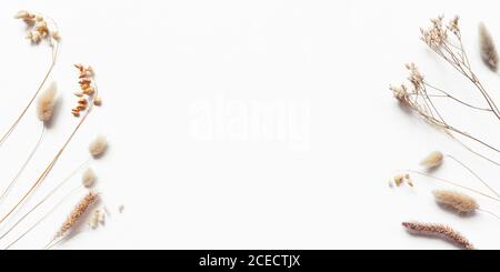 Sfondo autunno di orecchie mature. Foto Stock