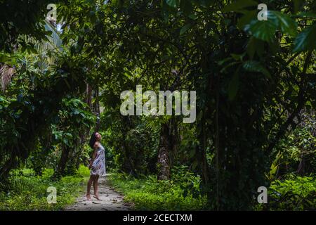 Giovane donna in abito su passerella tra foresta tropicale Foto Stock