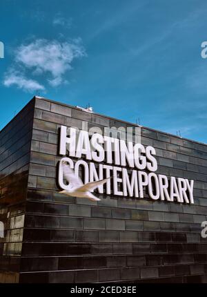 Un gabbiano e gli Hastings Galleria d'arte contemporanea sul mare di arte britannica contemporanea sullo Stade in Hastings Old Town, East Sussex England UK Foto Stock