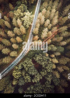 Drone vista di asfalto e strada rurale in verde foresta a Pais Vasco, Paesi Baschi, Spagna Foto Stock