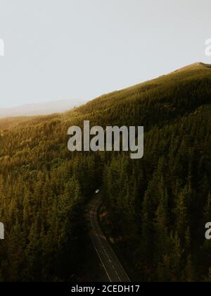 Asfalto e asta rurale in boschi Foto Stock