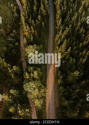 Asfalto e asta rurale in boschi Foto Stock
