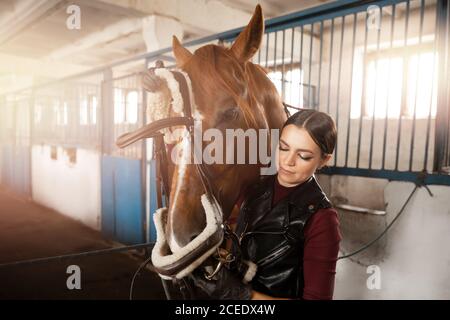 Rider giovane donna mette in sella e briglia a cavallo Foto Stock