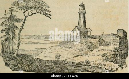 . Dictionnaire de conversation à l'usage des dames et des jeunes personnes : ou, Complément nécessaire de toute bonne éducation. énomènes morbies dévelop-pés par lusage de lergot du seigle (voy. ci-dessus). Plusieursautres épidémies ont été confondues avec celle que lon doit atri-buer à cette cause. Uergotisme est convulsif ou gangreneux; lesecond cas présente Plus de Dangers. Ergoteur (dun mot latin signifiant donc, et employé dans leschobes de lécole, comme conclusion des prémisses). On appelleainsi un homme pointilleux, qui conteste mal à propos, qui disputeavec chaleur, avec affecta Foto Stock