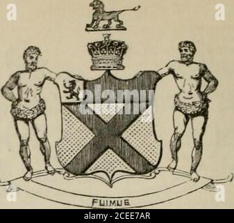 . Il peerage dell'impero britannico come attualmente esistente: Organizzato e stampato dalle comunicazioni personali della nobiltà. Corfe Castello, Prebendary di Gloucester e Bristol, e Chainplan in Ordinan,- alla Regina ; whow. 2ndly, 3 settembre 1839, Maria, terza figlia dell'on. E molto Rev.Edward Rice, Decano di Gloucester.-Vedi Dvnevor. Il primo conte era il figlio più giovane del defunto William Scott, Esq., commerciante, di Newcastle-upon-Tyne; E fratello di Sir William Scott, a lungo noto per i suoi talenti emi-nent e la discriminazione imparziale, mentre giudice nei tribunali di Concistoro e Admi-Ralty. Lui wa Foto Stock