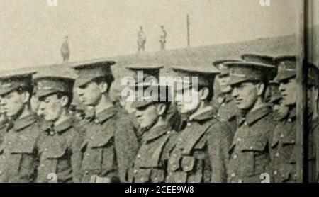. L'esercito di Kitchener e le forze territoriali, la storia piena di un grande successo ;. Foto Stock