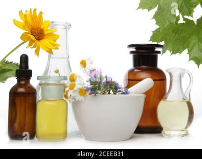 Erbe aromatiche fresche in un contenitore di vetro. Spazio di copia Foto Stock