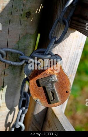 vecchio lucchetto arrugginito e catena sulla fattoria cancello, norfolk, inghilterra Foto Stock