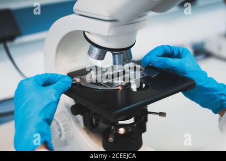 Vista di raccolto delle mani del lavoratore medico in gomma blu guanti con microscopio per la ricerca Foto Stock