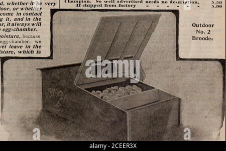 . Capovolgere una nuova foglia e essere convinto che W.W. I semi di Rawson & Co. Sono veri per nome / W.W. Rawson & Co. Foto Stock