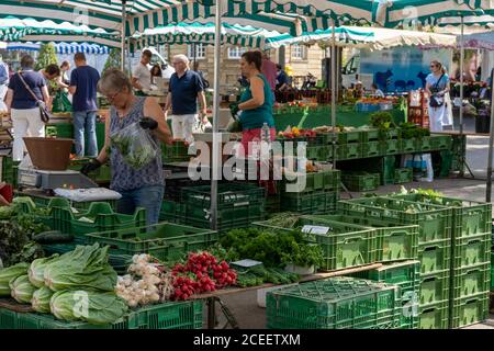 Esslingen, BW / Germania - 22 luglio 2020: La gente apprezza l'acquisto di cibo presso il mercato agricolo settimanale nella piazza della città di Esslingen, sul Neckar Foto Stock