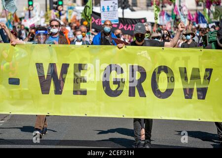 Londra, Regno Unito. 1 Settembre 2020. Estinzione i manifestanti della ribellione scesciano lungo Whitehall fino alla piazza del parlamento. Frustrato dal fatto che il governo non sia riuscito ad agire sull’emergenza climatica ed ecologica, XR continua a protestare per il cambiamento. Il progetto di legge sul clima e l'emergenza ecologica (legge CEE) è l'unico piano concreto disponibile per affrontare questa crisi, e così il primo giorno di ritorno in Parlamento, XR chiedono il governo di legge ora e abbracciano questa legislazione. Credit: Neil Atkinson/Alamy Live News. Foto Stock