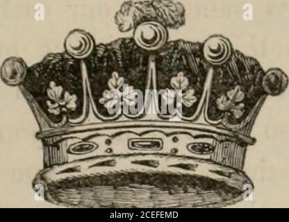 . Il peerage dell'impero britannico come attualmente esistente: Organizzato e stampato dalle comunicazioni personali della nobiltà. Proprio, fino alla chiusura del secolo scorso, ma ci sono ora quattordici marchesi nel Peerage irlandese. Lo stile marchesis è, molto onorevole Marquis di , ed è indirizzato, Mio Signore Marquis. Il mantello di incoronazione di un marchese è un manto di cremisonvelvet, foderato con taflfeta bianca, e rifinito con un capo oferminio che raggiunge dal collo al gomito, distinguishedby quattro file di macchie nere sulla destra, e tre sulla spalla sinistra. La sua robe parlamentare, ma per Foto Stock