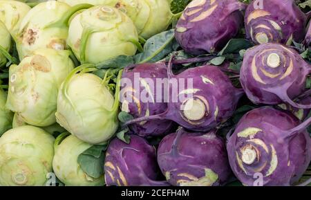 Una vista ravvicinata del verde organico e del kohlrabi viola verdure di radice Foto Stock