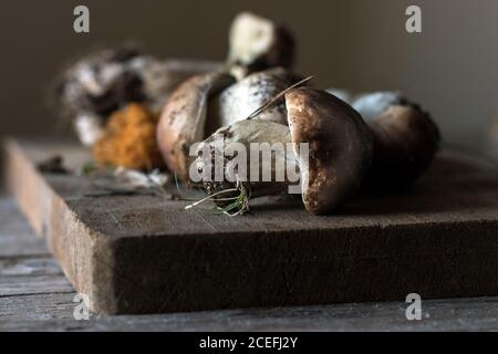 Colpo di closeup di un mucchio di funghi Boletus edulis appena raccolti con radici e sporcizia Foto Stock