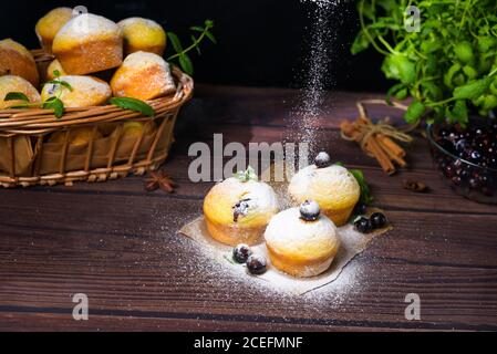 cupcake con foglie di menta e ribes nero in zucchero a velo su fondo nero, cesto di legno con cupcake e ribes nero. levitazione del po Foto Stock