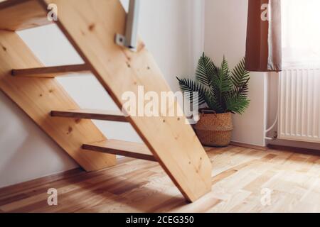 Interno del soggiorno con scale in legno e cesto con pianta vicino alla finestra Foto Stock