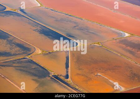 Pittoresca vista aerea dei campi d'arancio e delle paludi in campagna. Foto Stock