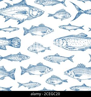 Disegno a mano Ocean Fish Vector motivo di sfondo senza giunture. Acciughe, aringhe, tonno, Dorado, sgombro, Seabass e Salmoni schizzi carta o copertina Illustrazione Vettoriale
