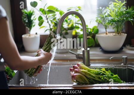 Vista posteriore del raccolto di erba passera fresca di pulizia femminile sotto acqua corrente nel lavello alla finestra Foto Stock