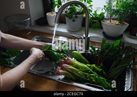 Donna che lava verdure fresche in cucina Foto Stock