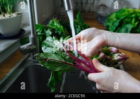 Donna che lava verdure fresche in cucina Foto Stock