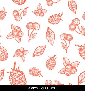 Raspberry, Cherry e Blueberry Harvest Vector disegnati a mano motivo di sfondo senza giunture. Bacche e foglie schizzi scheda o modello di copertina Illustrazione Vettoriale