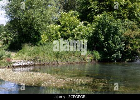 Ruscello babbling a fairford, cotswolds regno unito Foto Stock