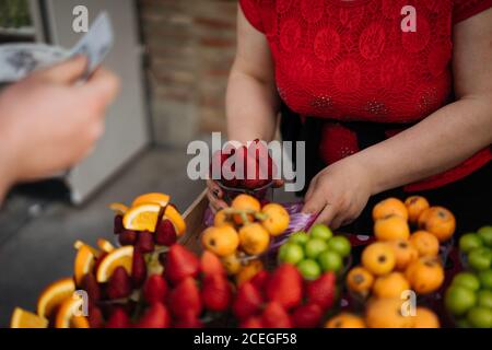 Vista del raccolto della coppa femminile di putting di fragole succose mature in pacchetto al bancone con frutta fresca e frutti di bosco con denaro in mano nelle vicinanze Foto Stock