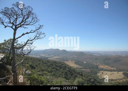 Vegetazione asciutta nelle montagne in Brasile Foto Stock