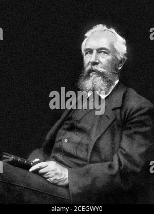 Ernst Haeckel, 1896. Ritratto dell'artista e scienziato tedesco Ernst Heinrich Philipp August Haeckel (1834-1919). Foto Stock