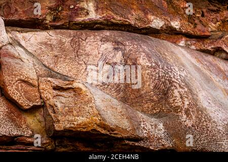 Safari di pittura aborigena con tour guidato di Sab Lord L'Outback australiano Foto Stock
