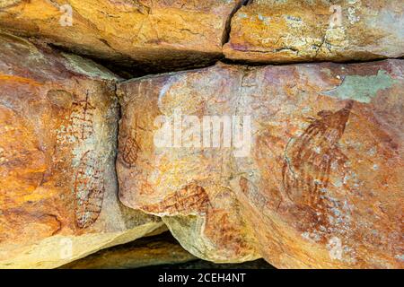 Safari di pittura aborigena con tour guidato di Sab Lord L'Outback australiano Foto Stock