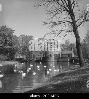 Pittoresco scatto bianco e nero di cigni nuotare in lago con vecchio castello di pietra sulla riva tra gli alberi, Belgio. Foto Stock