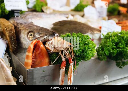 Pesce fresco pescato, aragosta e altri frutti di mare in mostra al mercato del pesce Foto Stock