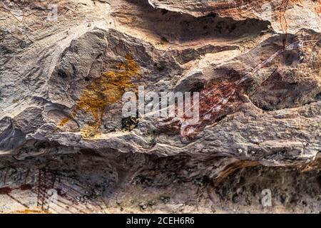 Safari Aborigeno di Pittura Rock con Sab Lord Foto Stock