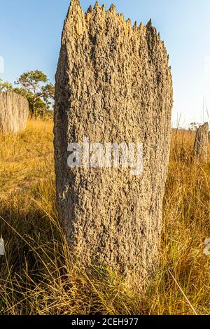 Termite Mounds in Australia del Nord Foto Stock