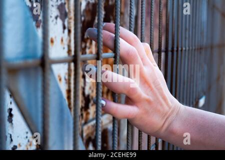 bella mano ragazza sulle barre di ferro mentre guardando attraverso i cavi Foto Stock