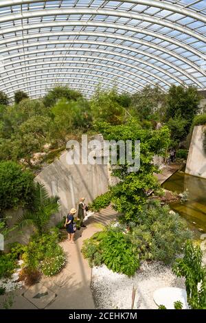 Carmarthen, Galles - Agosto 2020: Interno della grande cupola curva della casa di vetro al Giardino Botanico Nazionale del Galles Foto Stock