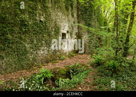 Abbandonati Fussell Old Iron Works, Mells, Somerset, Inghilterra, Regno Unito Foto Stock