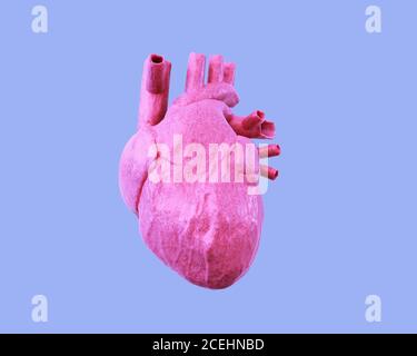 Cuore umano rosa isolato su sfondo blu. illustrazione 3d Foto Stock