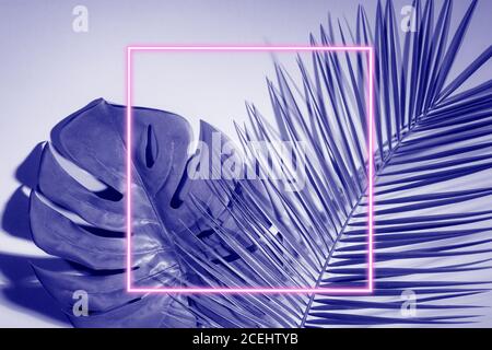 Layout di colori fluorescenti e creativi realizzati con foglie tropicali. Foglie olografiche. Concetto art. Sfondo surrealismo minimo Foto Stock