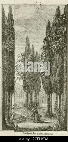 . Alessandro nell' Indie : dramma per musica : da rappresentazioni nel gran teatro nuovamante eretto alla vera corte di Lisbona nella primavera dell'anno MDCCLV : per festeggiare il felice giorno naturale di sua Maestà fedelissima D. Maria Anna Vittoria, Regina di Portogallo, Algarve, &c. &c.. &c. per comando ... del re .... Alle Comparfe. b) Partono UCemparfe. (0 con ironia amara.. IoanBtrvxiiBam ineidllLisionaijzrìr w Foto Stock