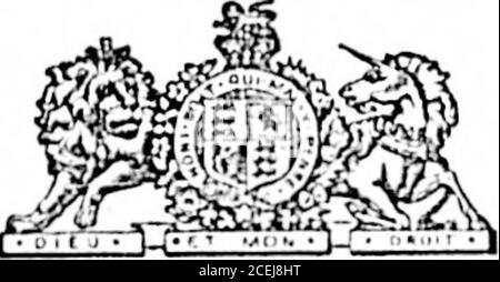 . Colonista quotidiano (1896-05-30). Gli udori condividono e sono completamente jinid up. Le domande di samemay devono essere presentate al sottoscritto presso il suo Oluce, o per lettera all'indirizzo Banie. R. X. WILIVIALS/RS. Secretary Freeburn Mining Company, my5 No. Ci Williams Building, 28 Broad Street, di fronte al Srlard Hotel. Stili il più veloce. IN VENDITA MEDIANTE GARA. Tutto quel pacco di terreno essendo sotto-lotto 67, Fern-wood E.-tato, parte della sezione LXXV, Victoriadistrard, ora città, con tutti gli Improvementssu ; anche lotti :M, :!.&gt; e M, suddivisioni di sotto-lotti, 3:1 e CA di detto Fernwood Instatecon tutti i miglioramenti su di esso, mappa de Foto Stock