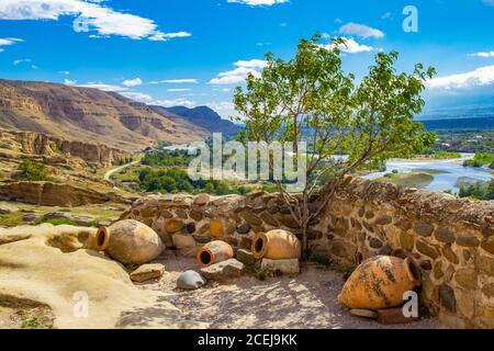Bella vista del lanciatore nazionale e un Bush di ulivo sullo sfondo della valle del fiume Kura in antica città grotta Uplistsikhe, vicino Foto Stock